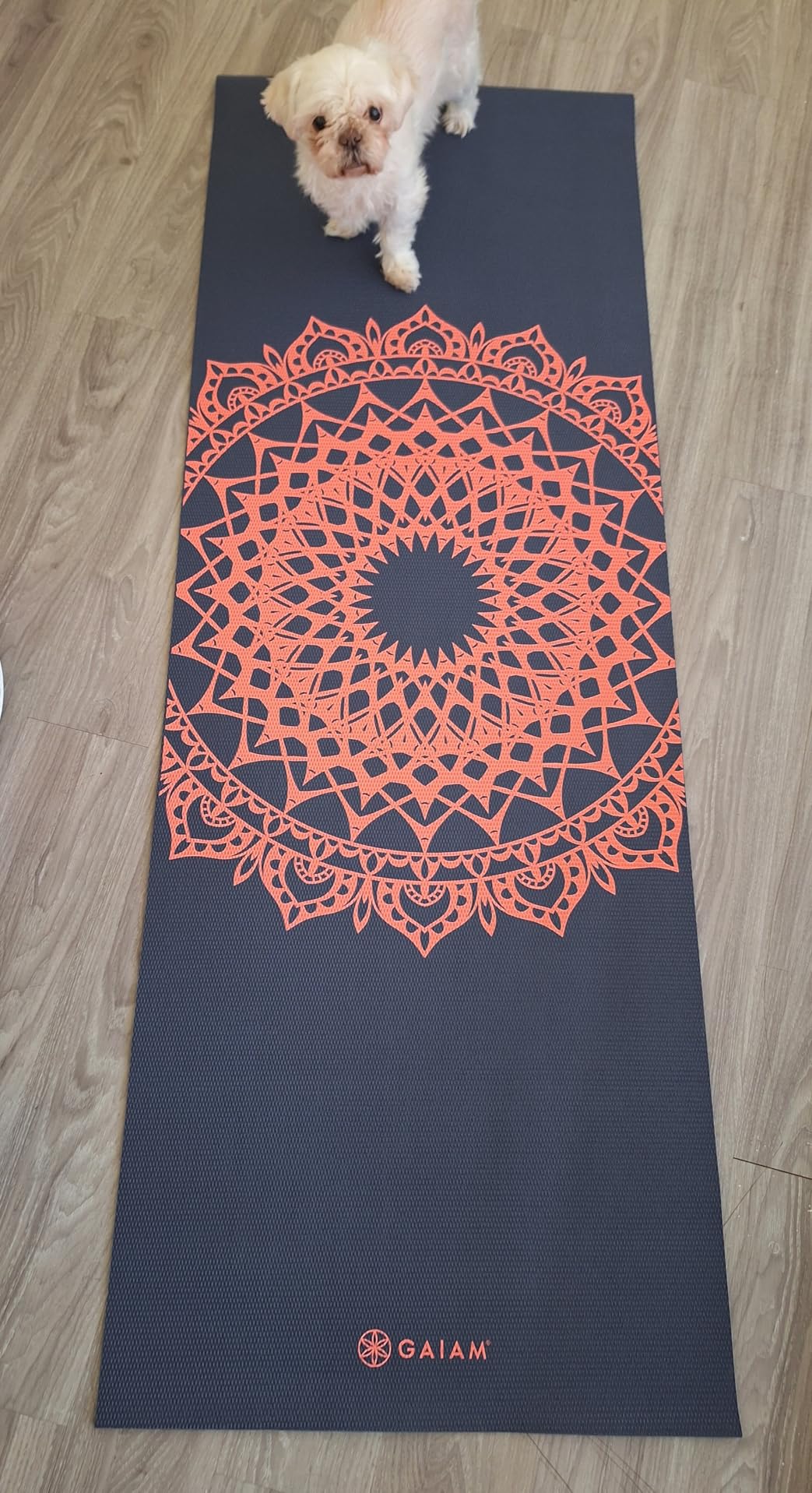 Gaiam Print Yoga Mat, Non Slip Exercise & Fitness Mat for All Types of Yoga, Pilates & Floor Exercises | Lightweight 4mm print yoga mat with non-slip grip customer photo 2