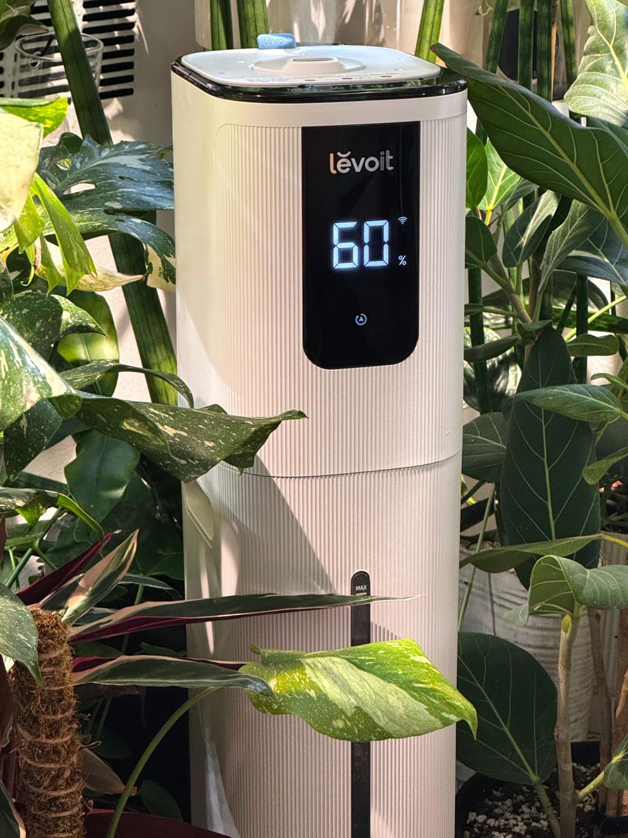 Levoit Humidifiers for Bedroom Large Room Home, Warm and Cool Mist, White | 6L Ultrasonic Air for Plants & Whole House, Auto Mode, Built-in Humidity Sensor, Essential Oil Diffuser, Whisper Quiet, Timer customer photo 1