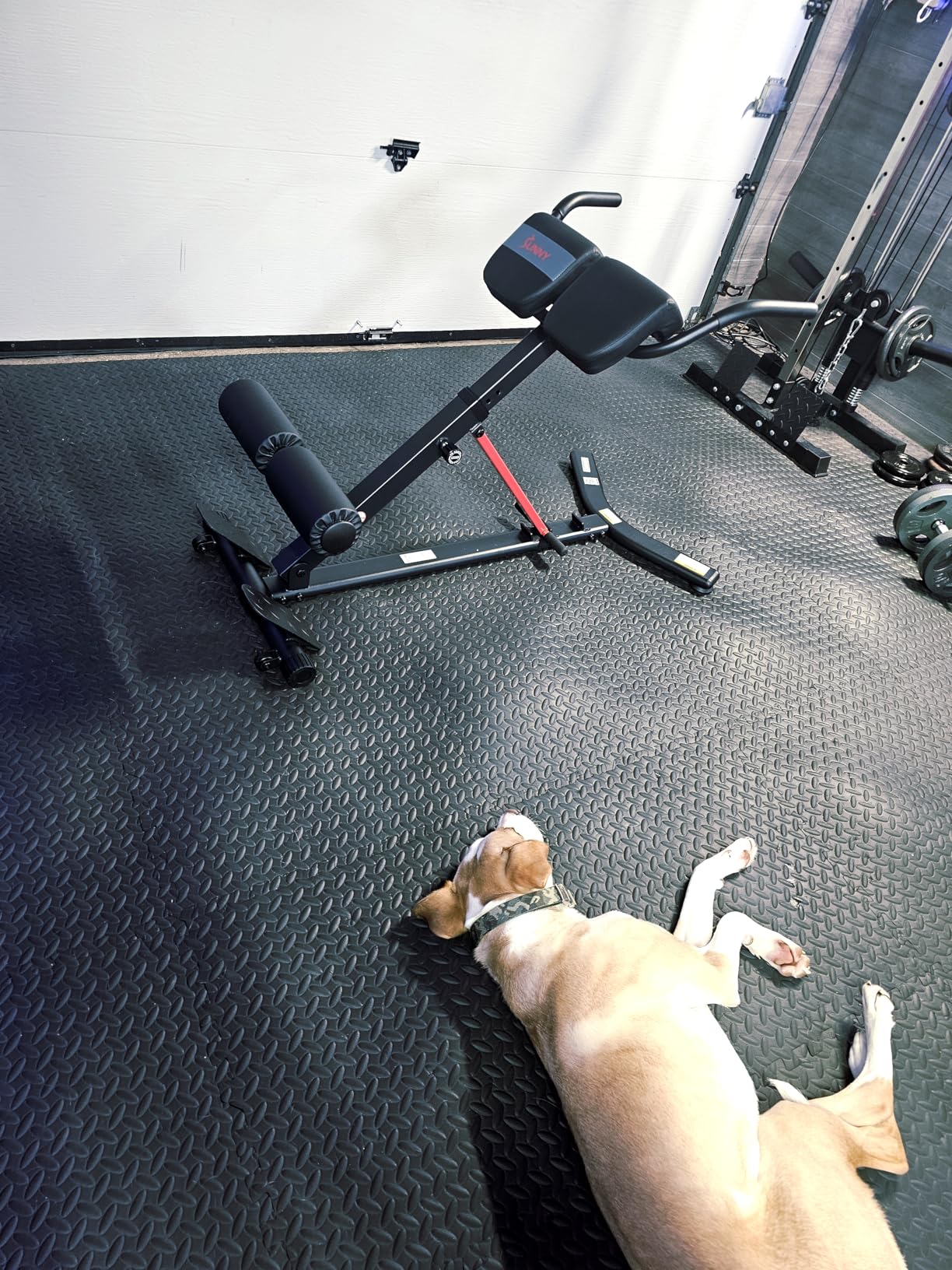 Sunny Health & Fitness Multi-Function Roman Chair customer photo 1