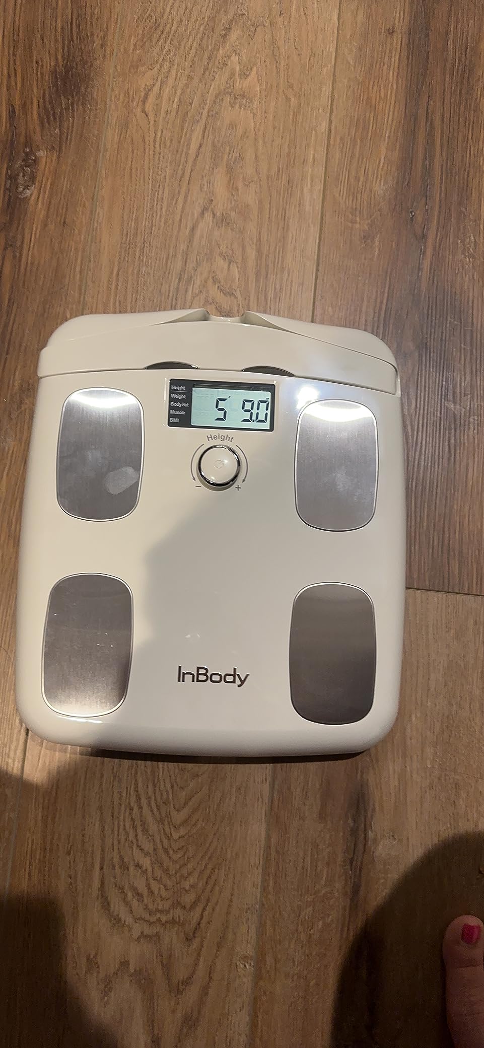 InBody Dial H20 | Body Composition Scale Most Accurate | Smart Scale with BMI, Body Fat, Muscle Mass | Weight Scale with Body Fat and Muscle customer photo 1