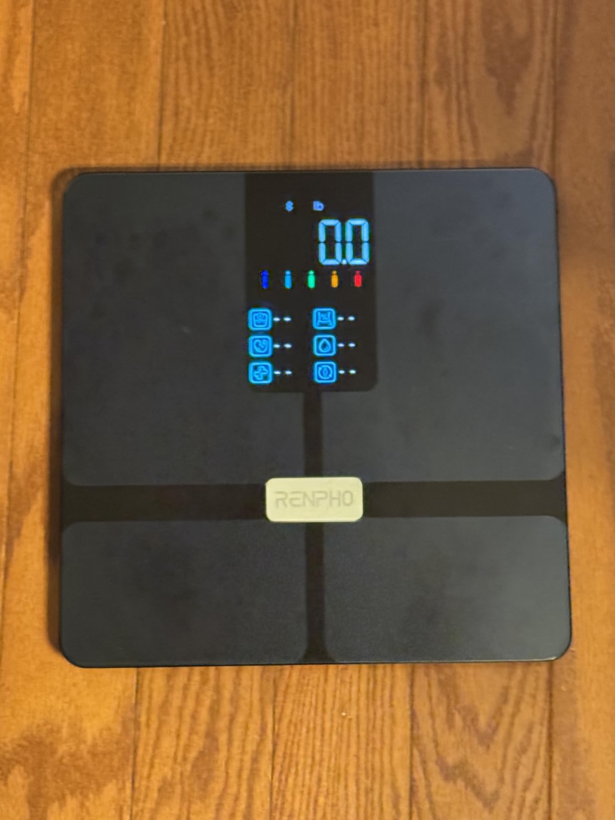 RENPHO Smart Scale with BMI, Body Fat, Muscle Mass, Larger Display, Elis 1X, Body Composition Scale with Multi-User Support, Bluetooth App, ITO Coating, High Accuracy, FSA/HSA Eligible customer photo 1