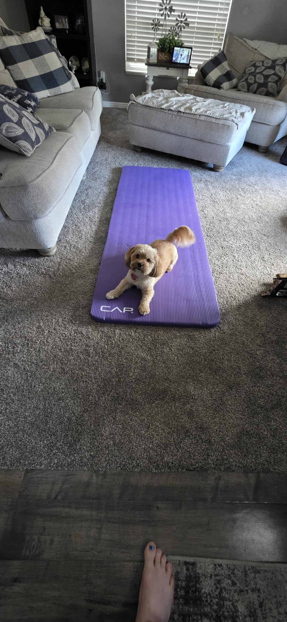 CAP Barbell 1-Inch High Density Exercise Yoga Mat with Strap | Multiple Colors customer photo 1