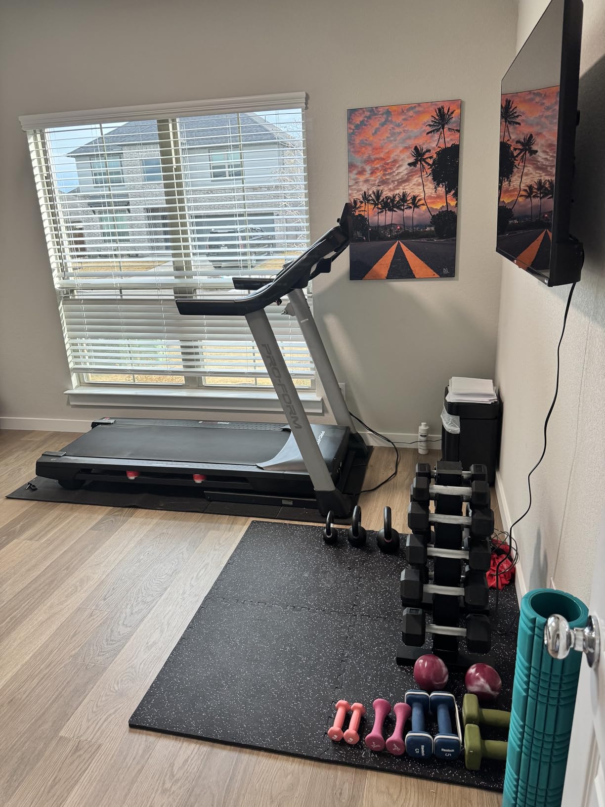 Stepwaver Walking Pad Treadmill Mat for Hardwood & Carpet Floors customer photo 1
