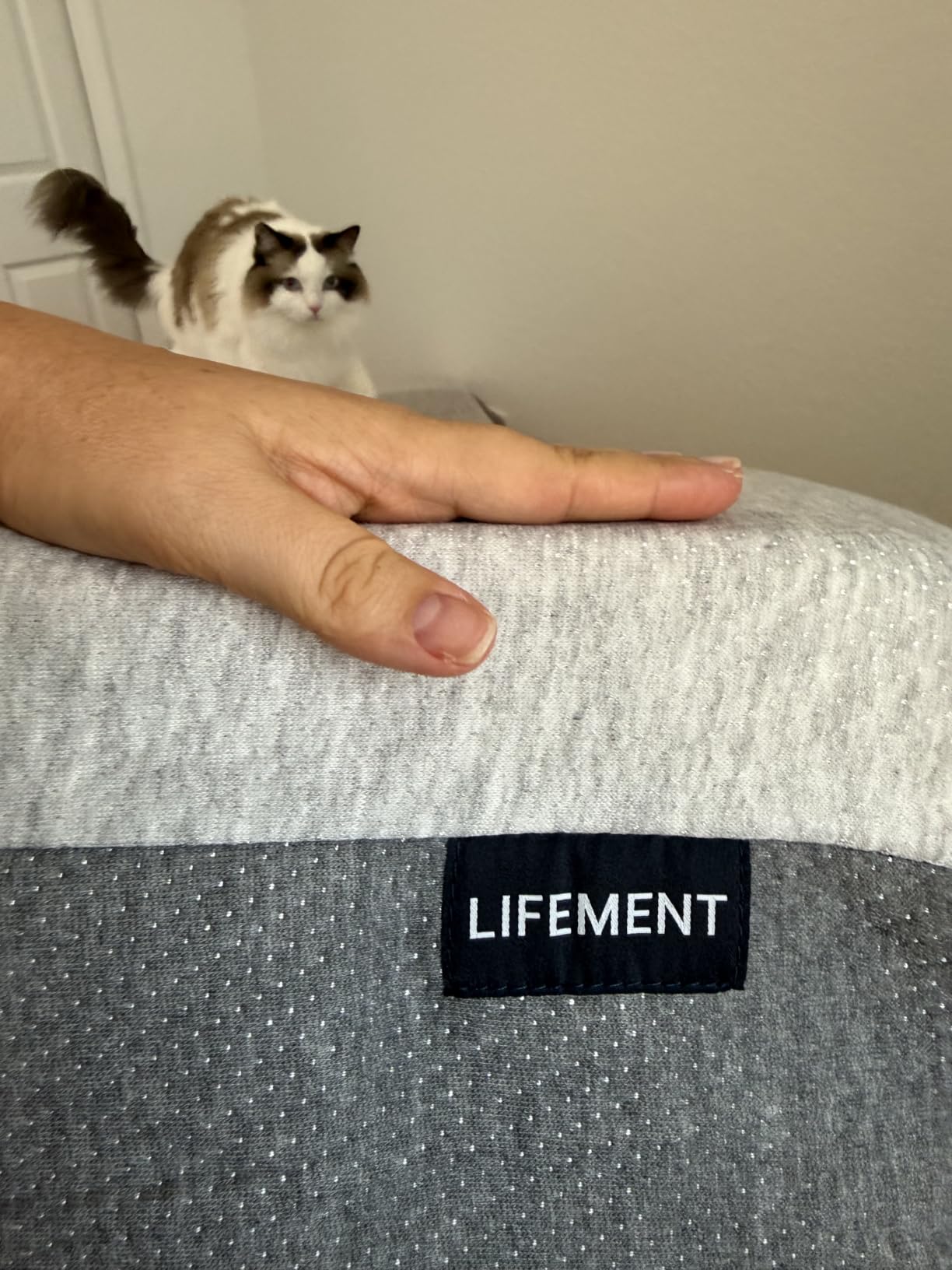 LIFEMENT Twin Mattress for Kids, 6 Inch Twin Bed Mattress, Basic Graphite Cooling Memory Foam Mattress in a Box, Pressure Relief with Medium Firm Support, CertiPUR-US Certified, 75''L x 39''W customer photo 2