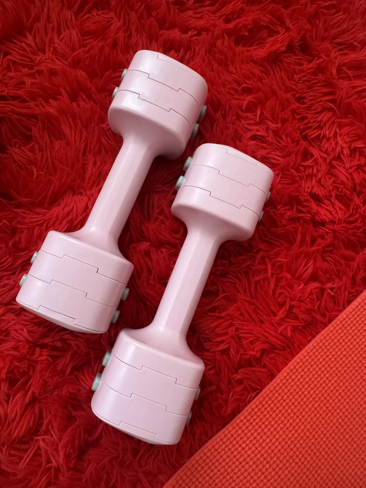 2-in-1 Adjustable Dumbbell Set for Women - 4 Levels (2.2lbs to 12.1lbs) - Home Gym Weights for Women at Home - Fitness Dumbbells customer photo 1