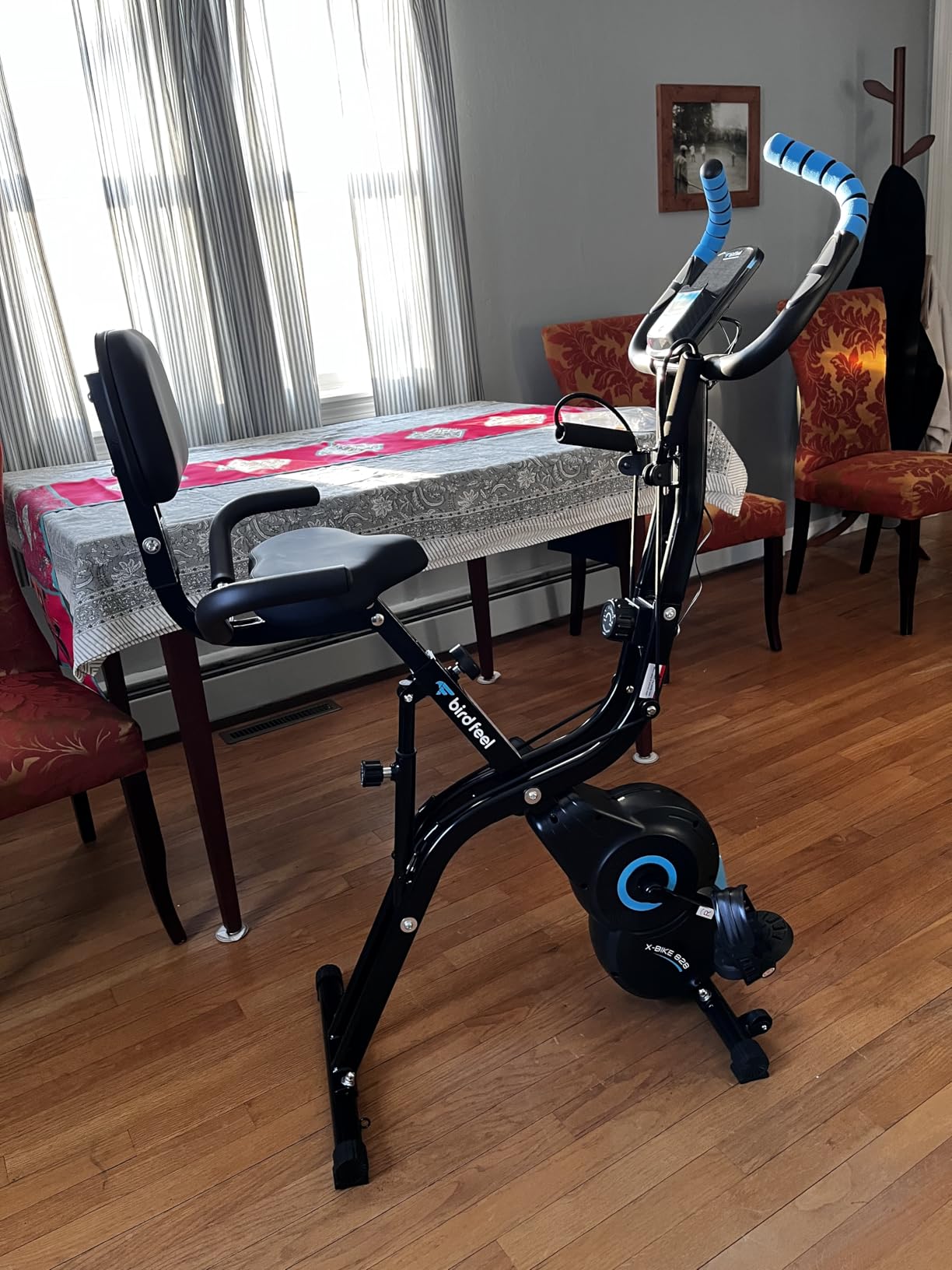 Foldable Exercise Bike, 8-Level Magnetic Stationary Bike for Home Gym | Quiet indoor workout bike with arm resistance bands, LCD monitor, and 300 lbs capacity for full-body cardio training customer photo 2
