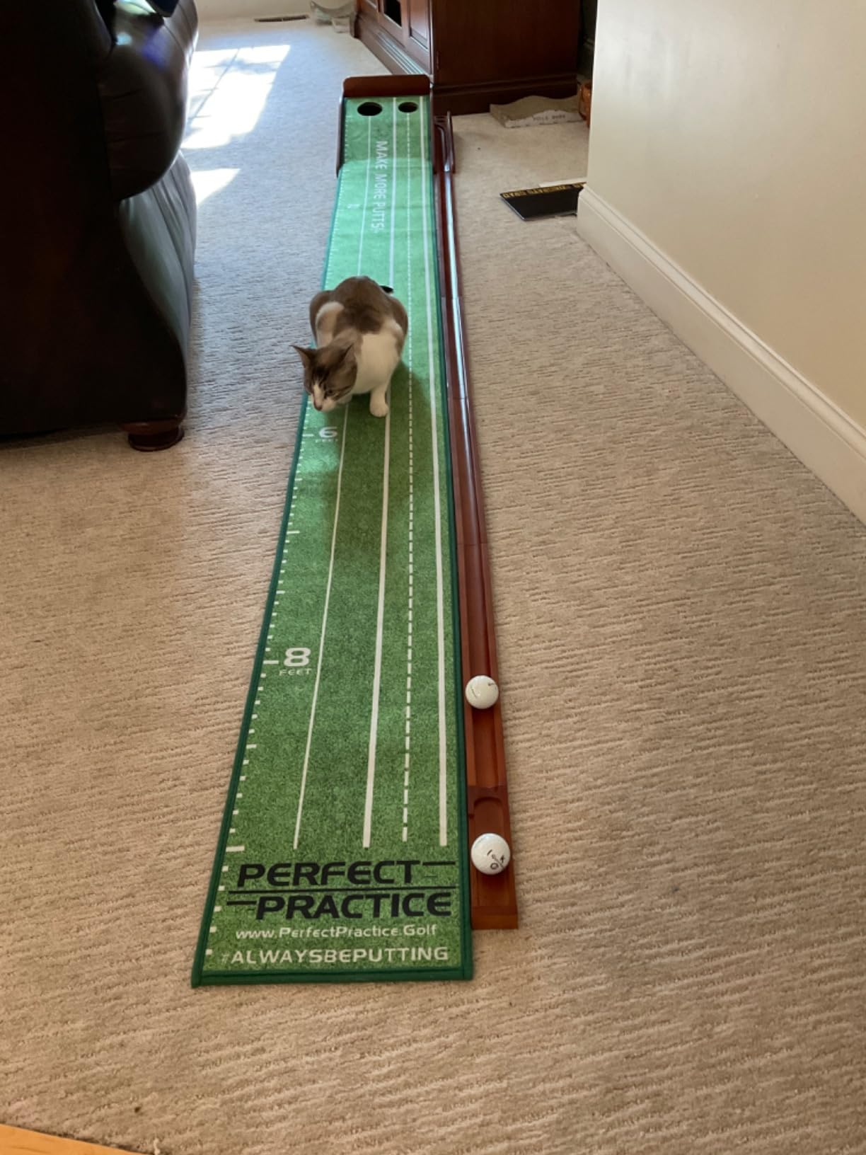 Perfect Practice Putting Mat & Golf Chipping Net - Indoor Golf Training Aid customer photo 1