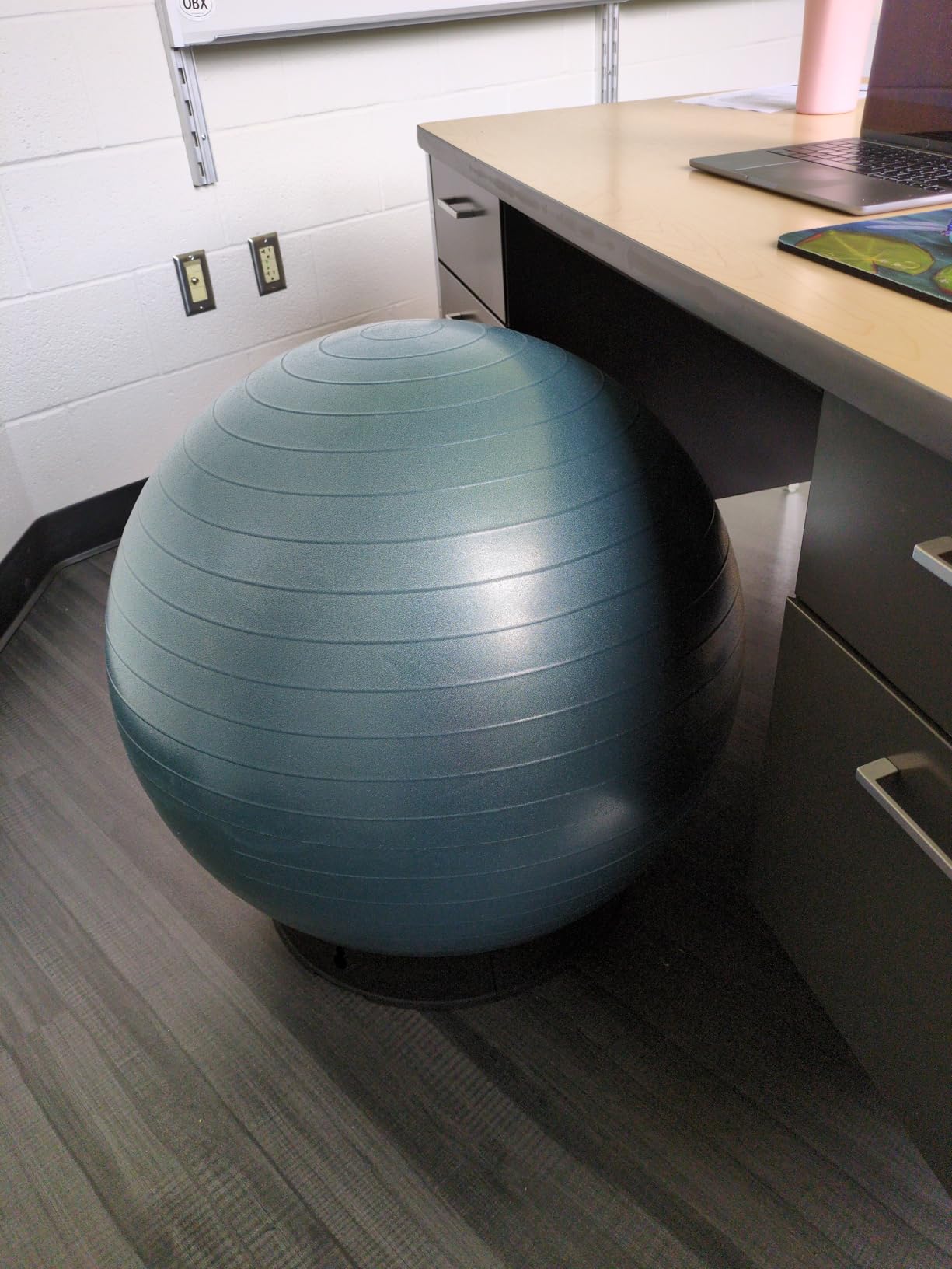 Retrospec Luna Exercise Ball with Pump - Anti-Burst Fitness Equipment for Yoga, Core Training & Stability - Home Gym Swiss Ball for Office & Pregnancy customer photo 2