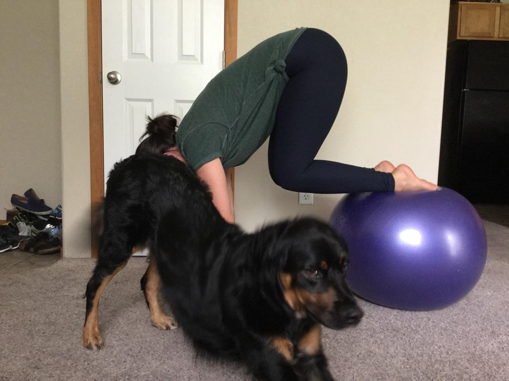 Gaiam Balance Ball Kit, Anti-Burst Stability Ball with Pump customer photo 1