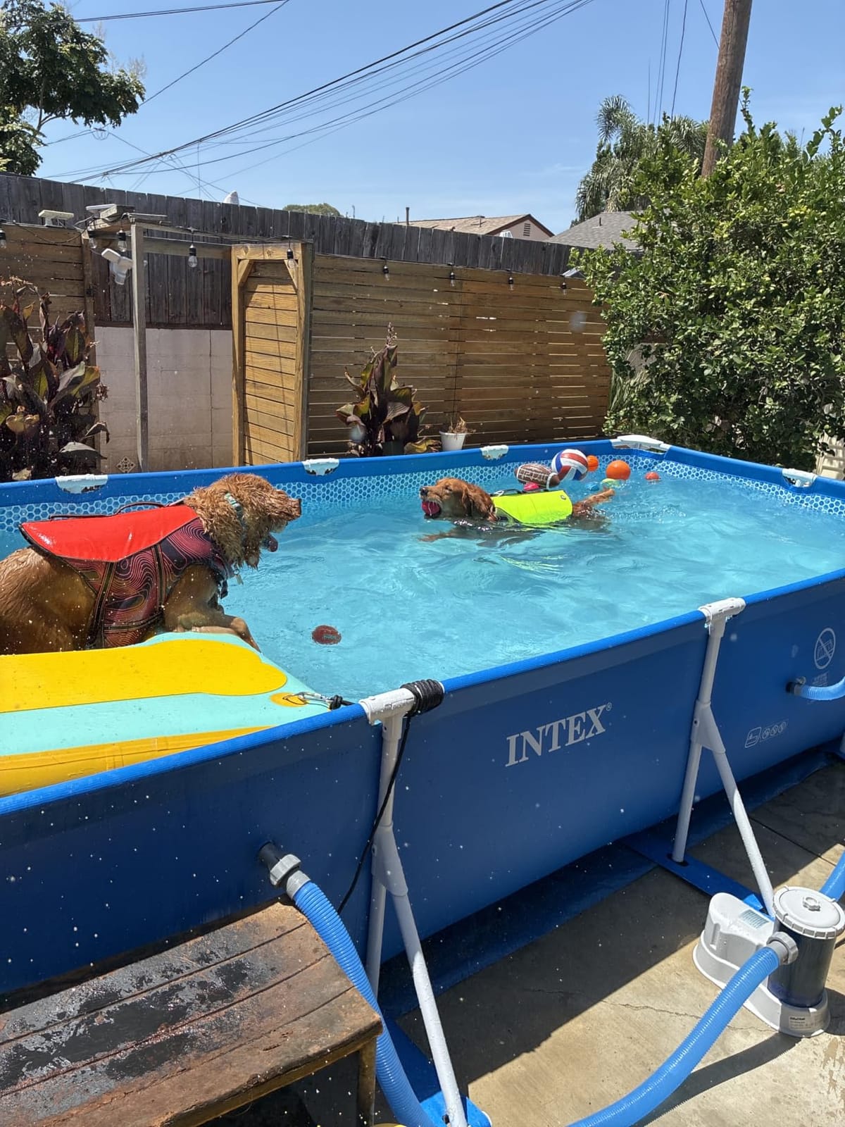 INTEX Metal Frame 9ft 10in x 6ft 6.75in x 29.5in Above Ground Swimming Pool customer photo 1