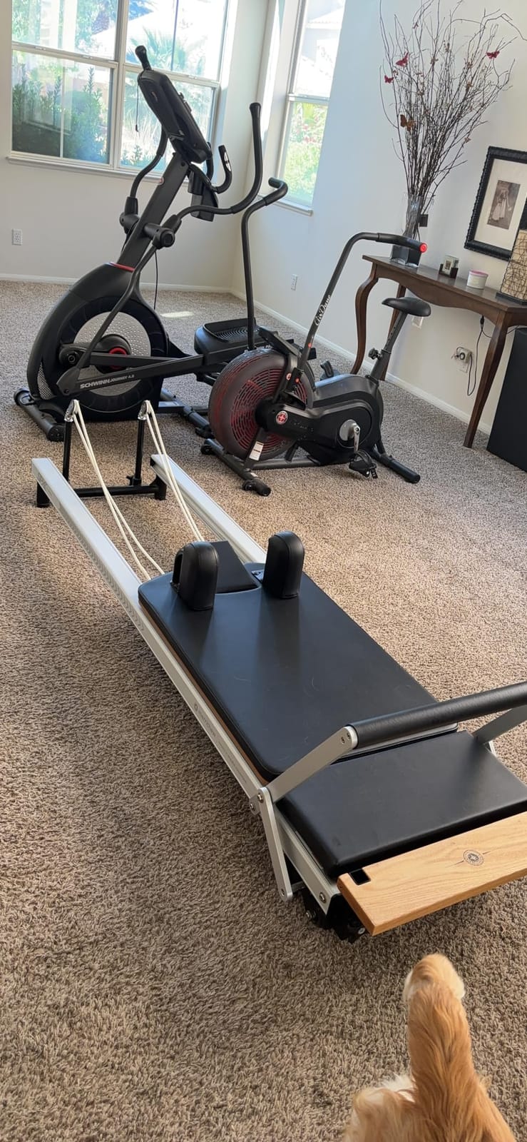 Merrithew™ At Home SPX® Reformer Pilates Package customer photo 2