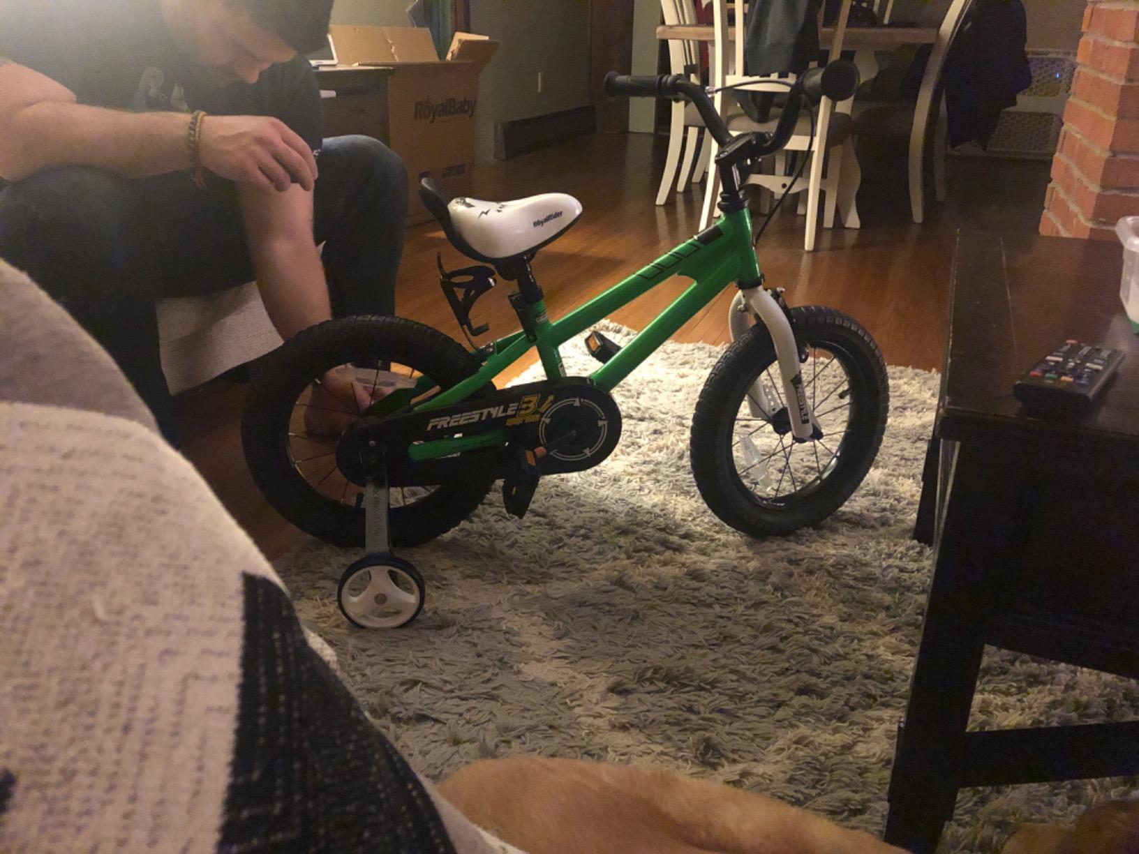 RoyalBaby Freestyle Kids Bike for Boys Girls Ages 3-10 Years customer photo 1