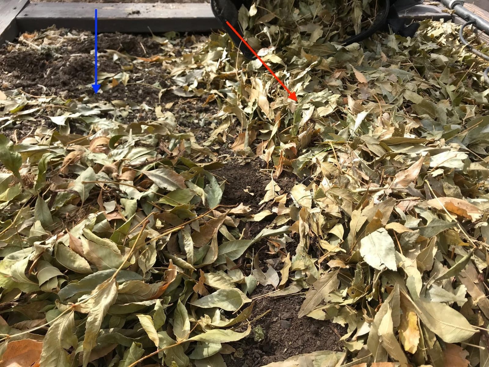 WORX Trivac 3-in-1 Electric Leaf Blower/Leaf Vacuum/Leaf Mulcher, WG509 customer photo 1