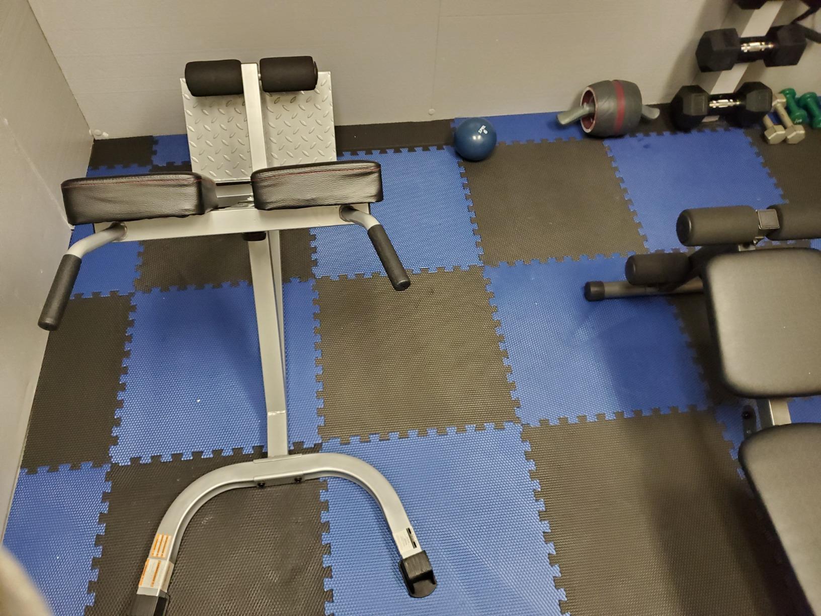 CAP Strength Hyperextension Roman Chair, 300lb Capacity, Silver customer photo 2