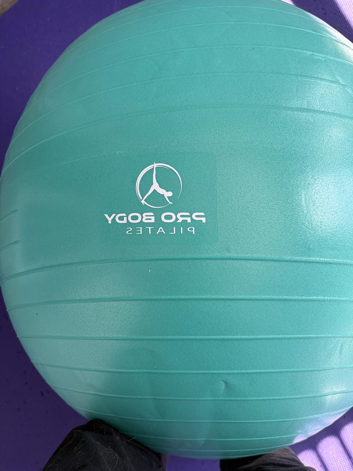 ProBody Pilates Yoga Ball - Gym Grade Exercise Ball customer photo 1