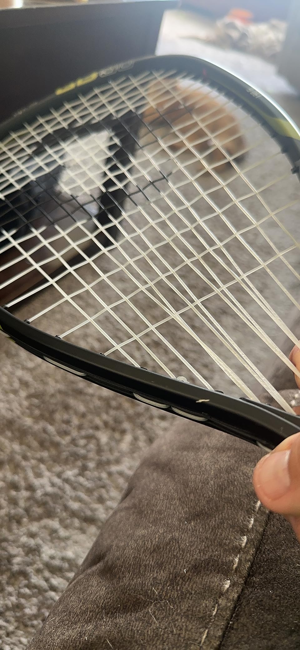 Gearbox GB50 Racquetball Racket customer photo 2