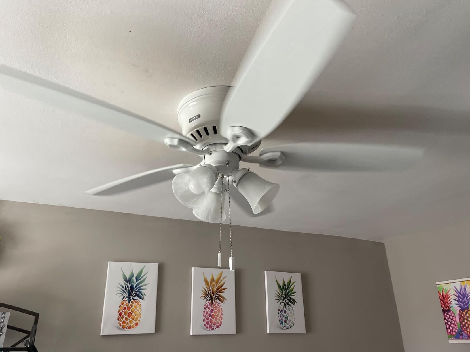 Hunter Builder, Indoor, Ceiling Fan, with LED Lights, 42 inch, New Bronze customer photo 2