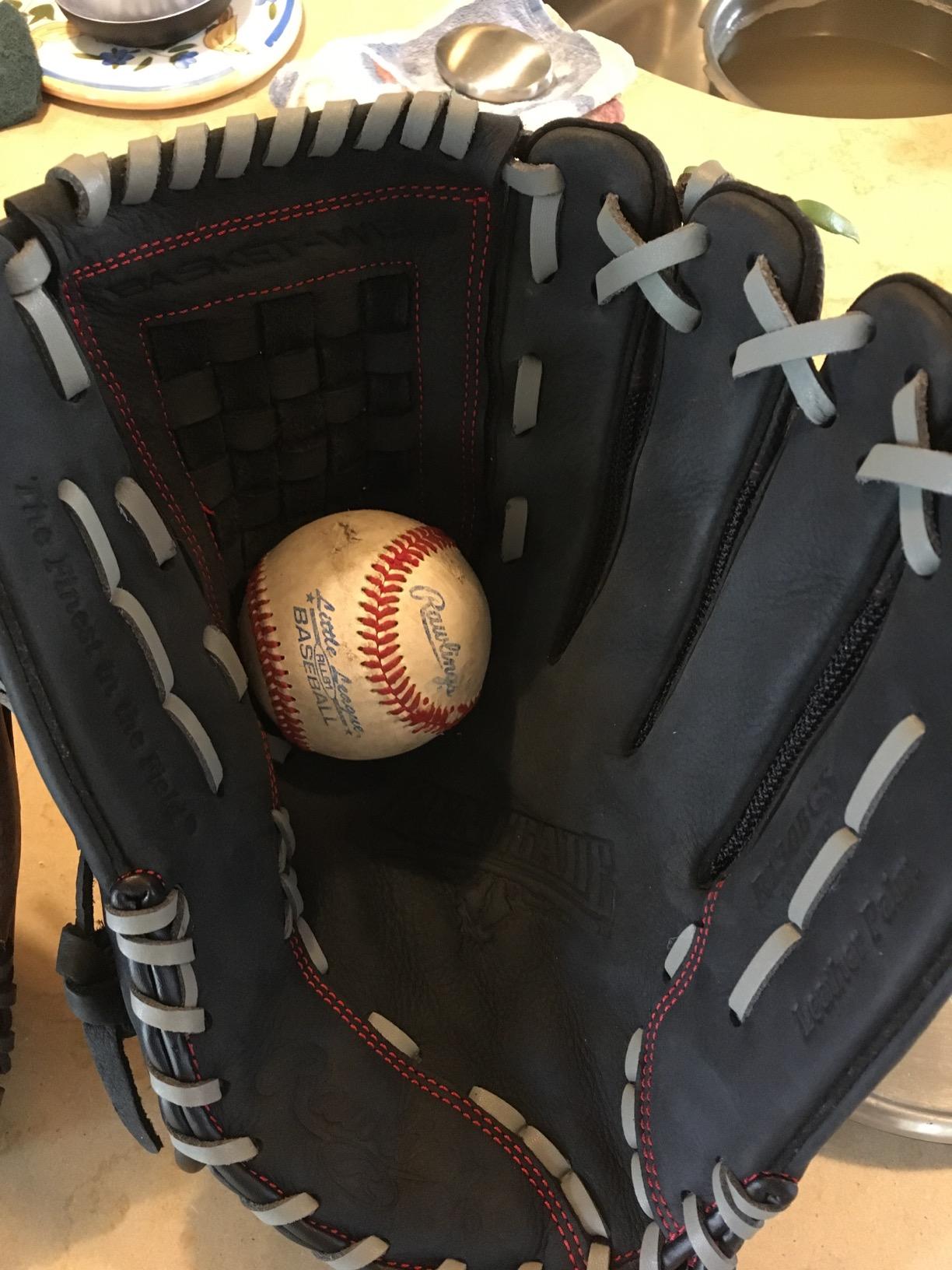 Rawlings Player Preferred Baseball Gloves | Baseball & Slowpitch Softball customer photo 1