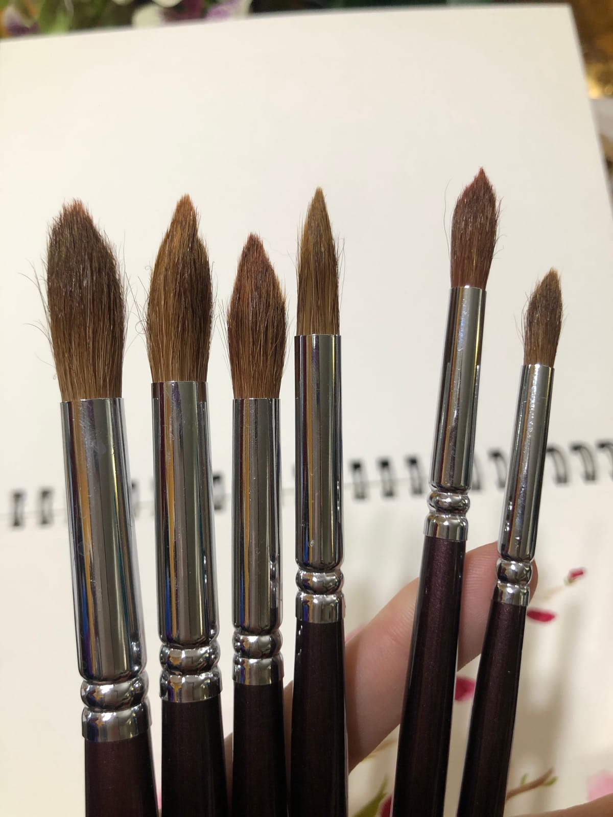 Golden Maple Professional Watercolor Brushes Set - 6PC Natural Hair Horsehair Round Point Artist Paint Brushes for Adults Watercolor Acrylic Ink Gouache Painting Supplies customer photo 1