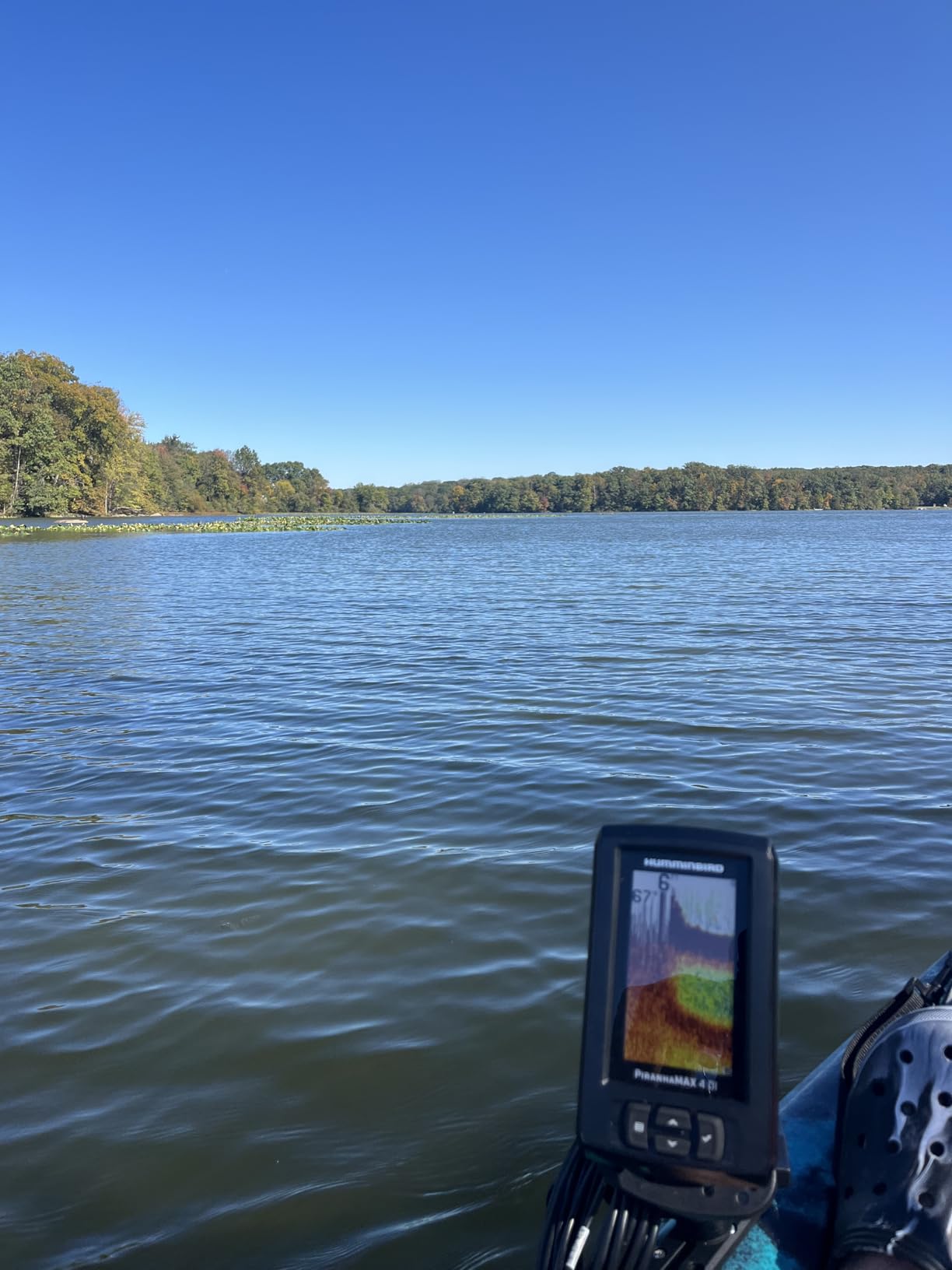Humminbird PiranhaMAX 4 Fish Finder, Down Imaging customer photo 2
