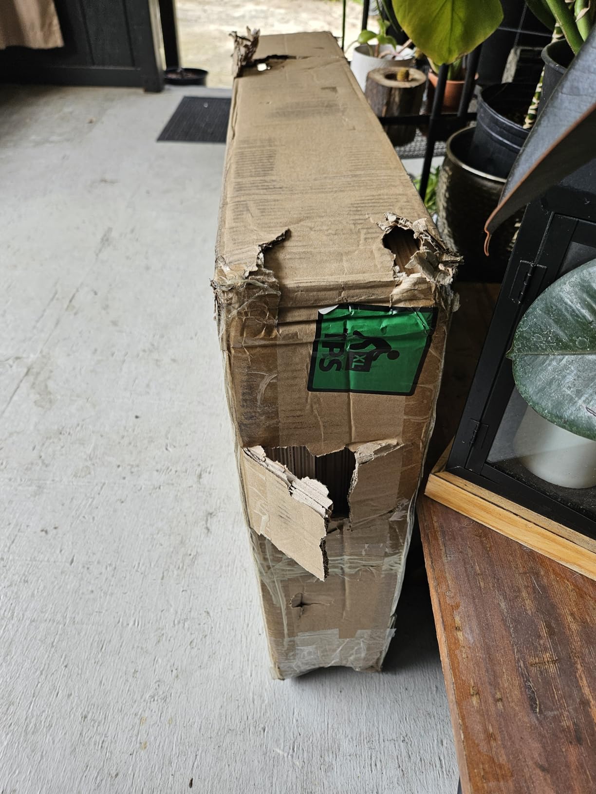 Synergee 3 in 1 Wood Plyo Box – Multiple Sizes customer photo 1