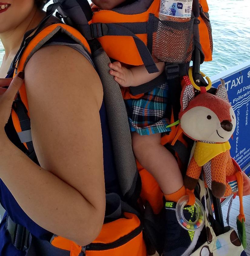 Hiking Baby Carrier Backpack - Toddler & Child Carrier customer photo 2