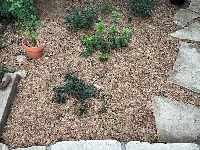 BLACK+DECKER Leaf Blower, Leaf Vacuum and Mulcher 3 in 1, Backpack Blowers for Lawn Care,250 mph Airflow, 400 cfm Delivery Power, Reusable Bag Included, Corded (BEBL7000) customer photo 2