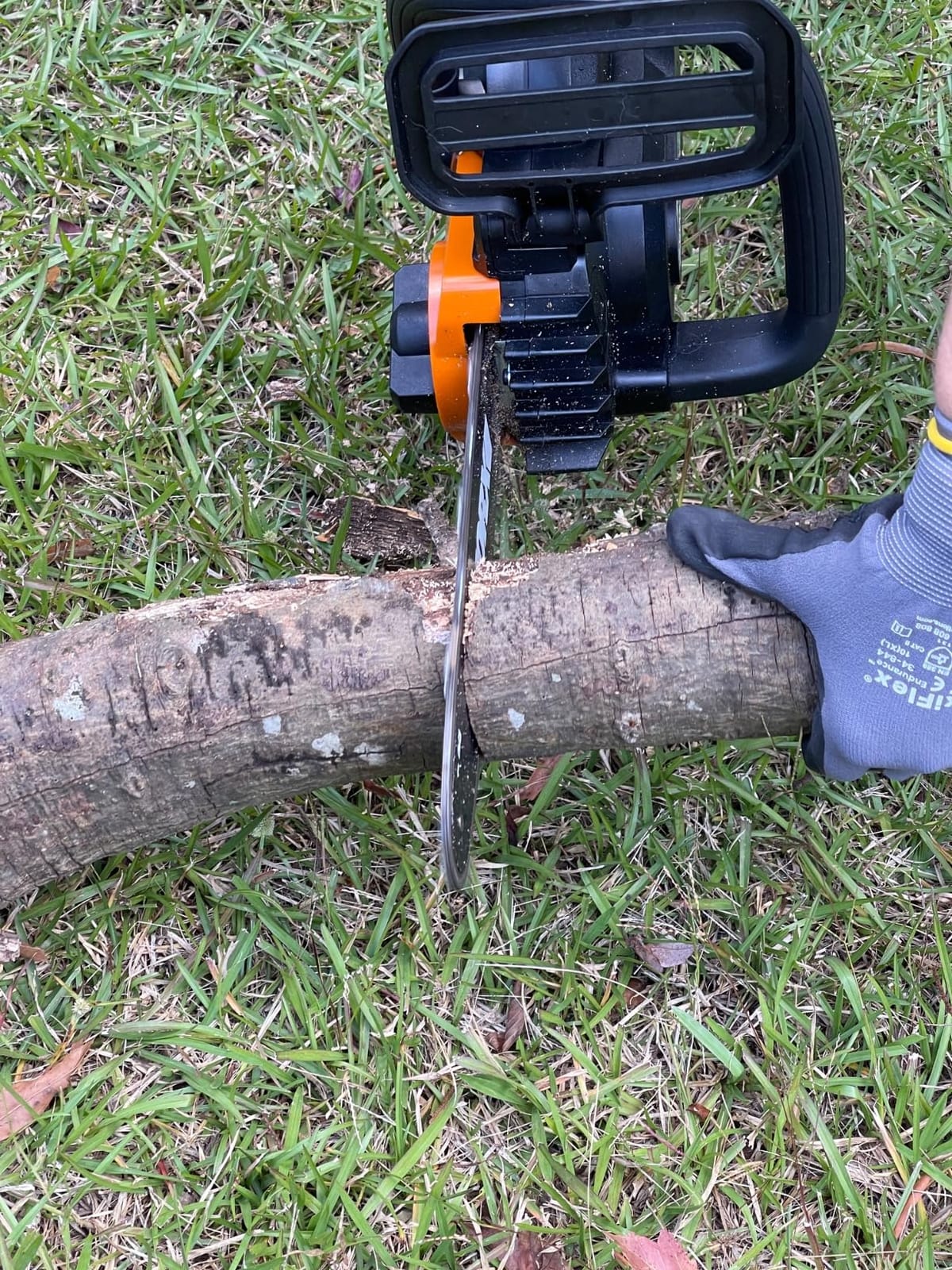 WORX Cordless Chainsaw with Auto-Tension, 20V 10