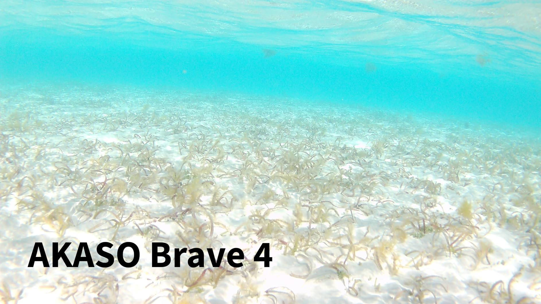 AKASO Brave 4 Action Camera 4K30 Ultra Hd Waterproof Underwater Camera customer photo 2