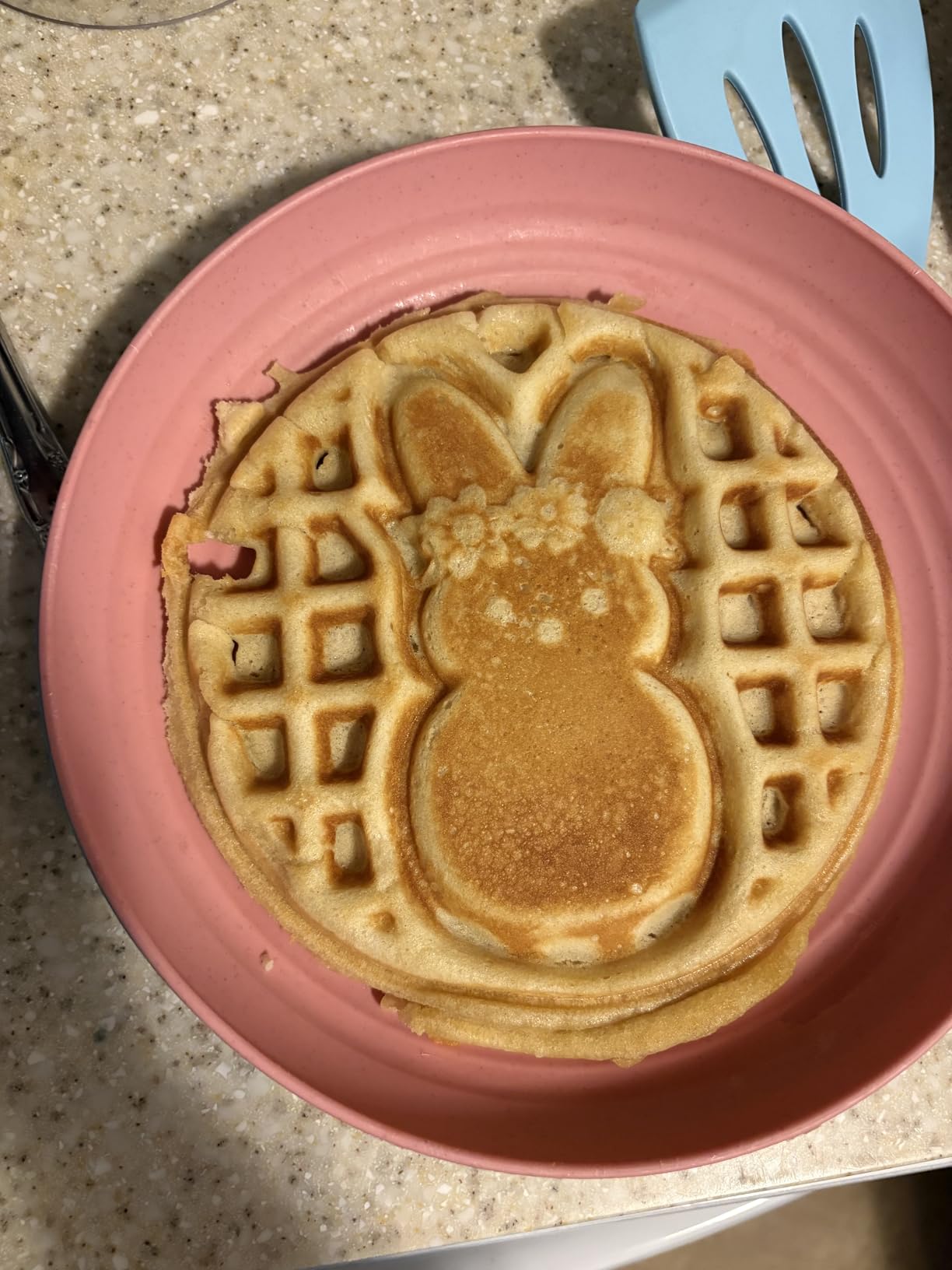 Dash Express Waffle Maker -Electric Waffle Maker for Creative Homemade Treats - Dual Nonstick Cooking Surfaces, Easy Food Release & Quick Cleanup - Compact, Space-Saving Design - 8 Inches - Black customer photo 2