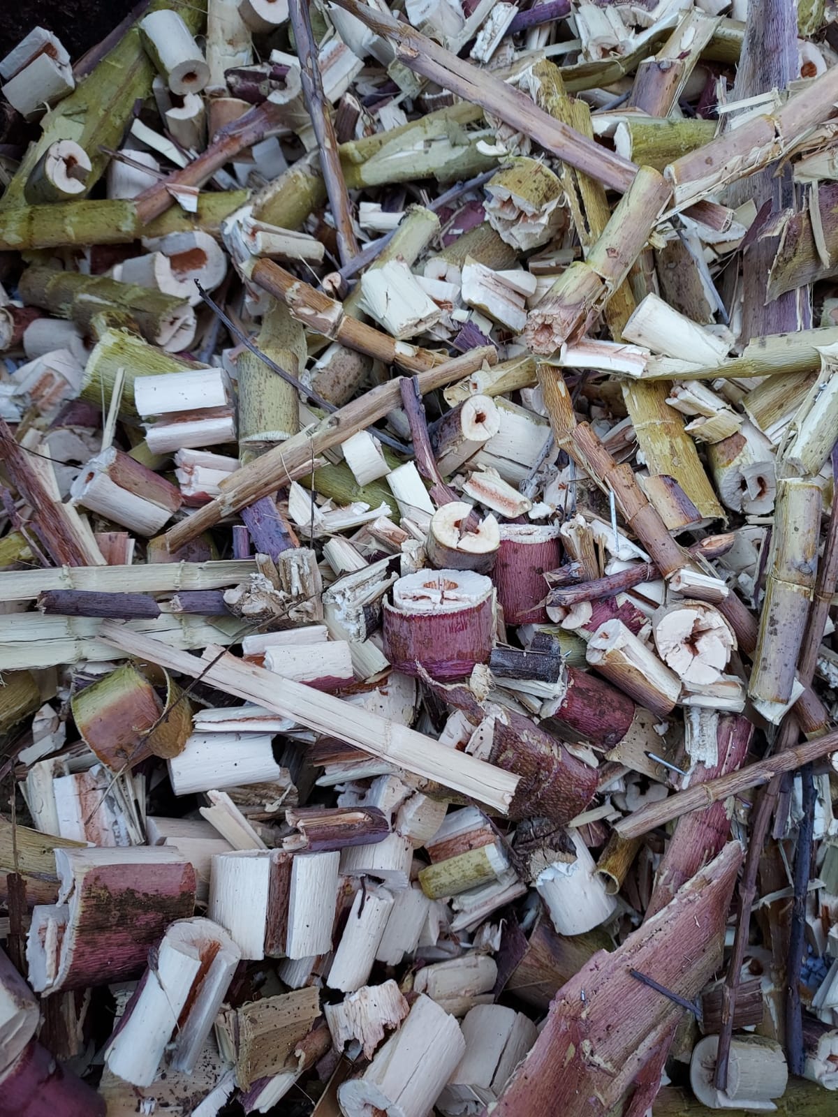 Sun Joe Wood Chipper Shredder and Waste Shredding Machine, CJ603E customer photo 2