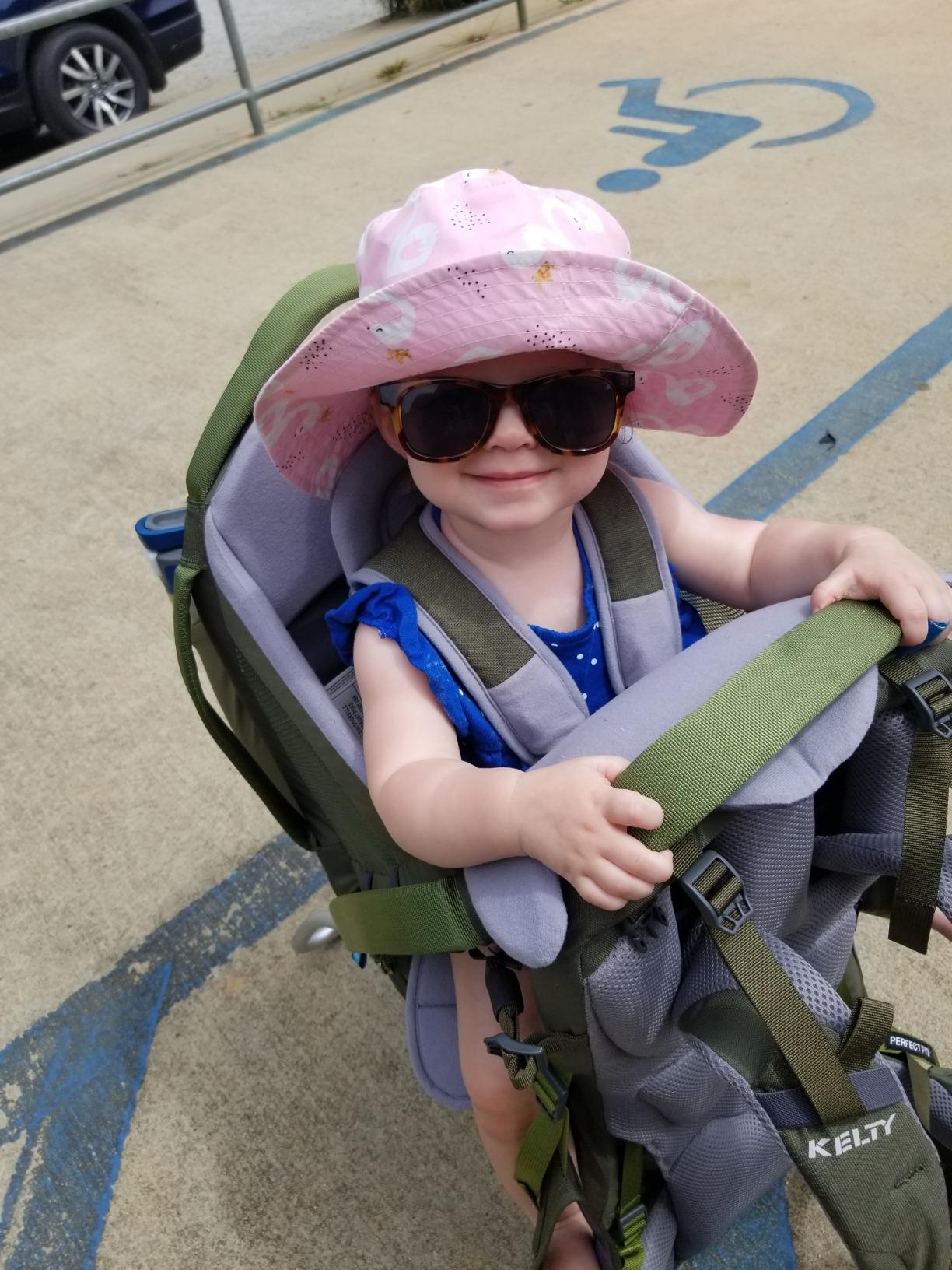 Kelty Journey PerfectFIT ELITE Child Carrier for Infants and Toddlers, Zippered Pockets, Waistbelt, Aluminum Frame, Sunshade customer photo 2