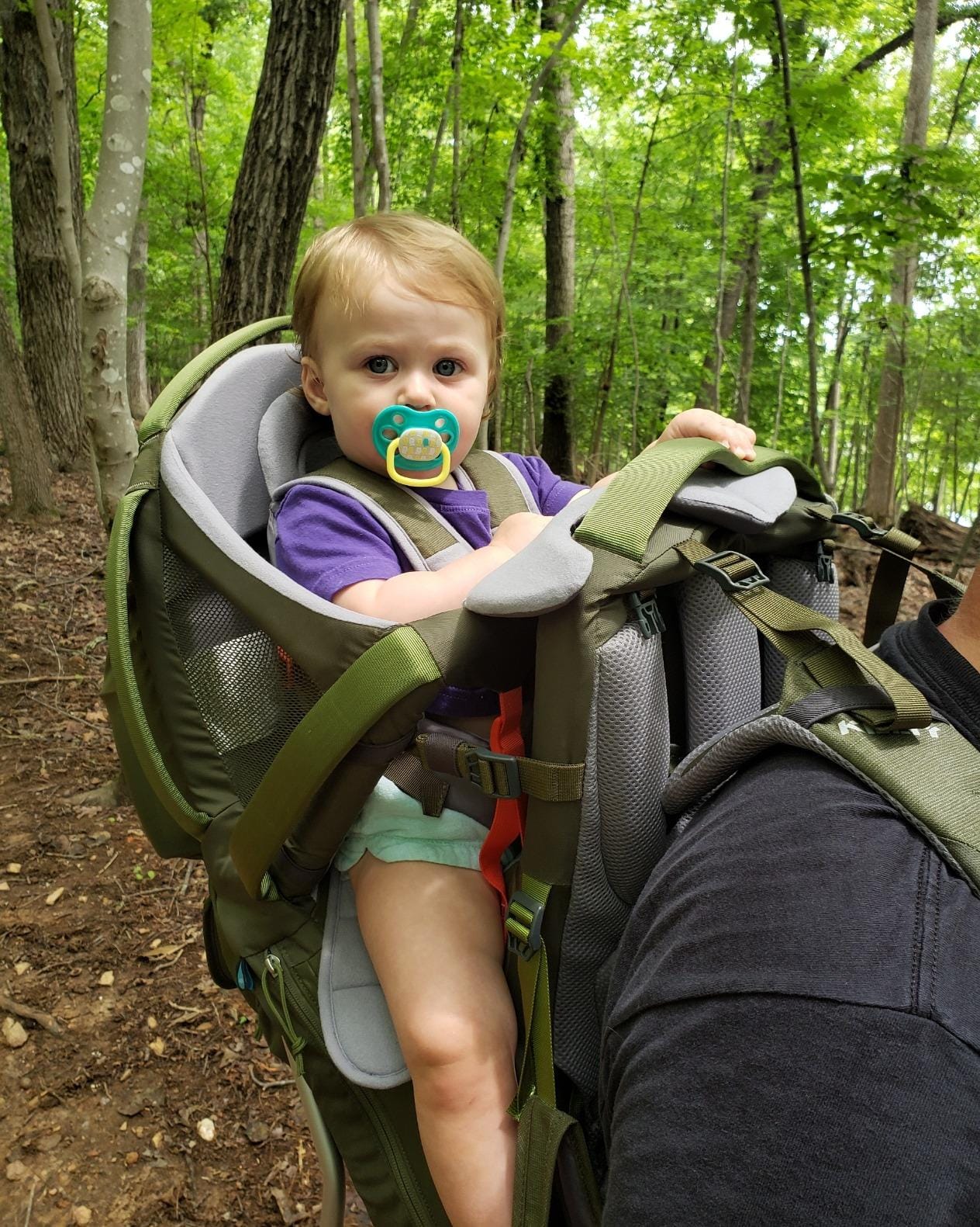 Kelty Journey PerfectFIT ELITE Child Carrier for Infants and Toddlers, Zippered Pockets, Waistbelt, Aluminum Frame, Sunshade customer photo 1