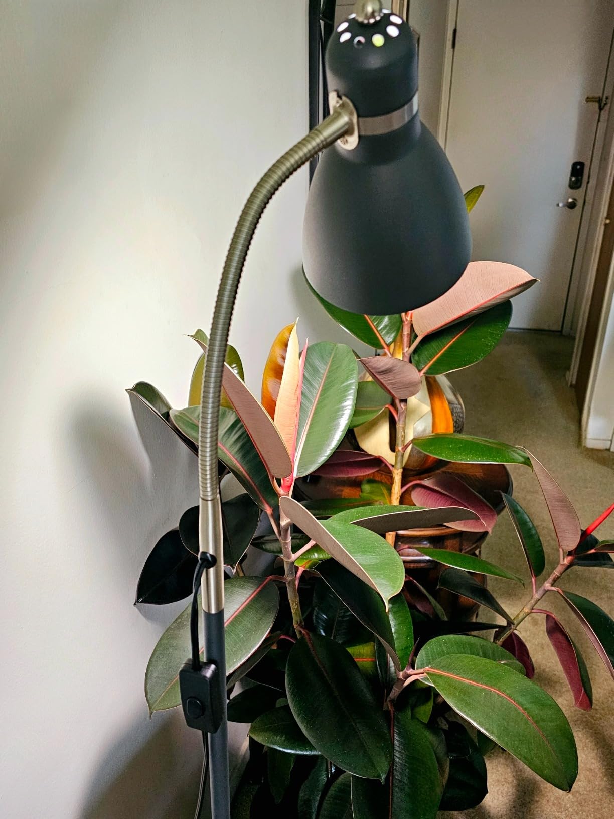 LEPOWER Floor Lamp, Metal Standing Lamp with Adjustable Gooseneck for Dorm customer photo 2