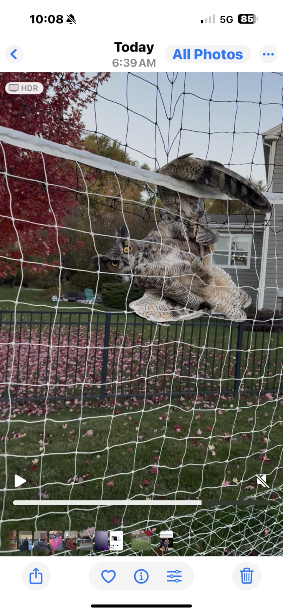 Open Goaaal Soccer Goal, Rebounder and Backstop Net customer photo 1