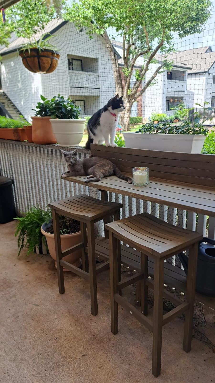 Christopher Knight Home Caribbean Outdoor Acacia Wood Balcony Bar Set, 3-Pcs Set, Grey Finish customer photo 1
