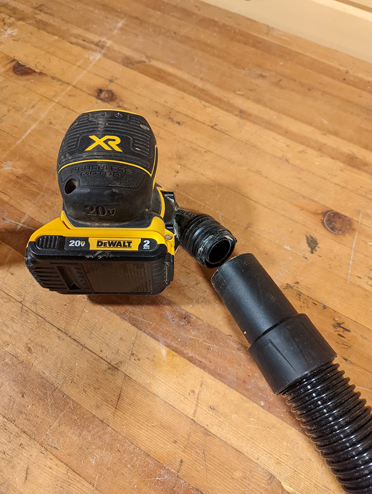 DEWALT 10 Gallon Poly Wet Dry Vacuum, 5.5 HP Shop Vacuum 120V 90 CFM for Jobsite, Work Shop, Commercial Area, Garage/Warehouse customer photo 2