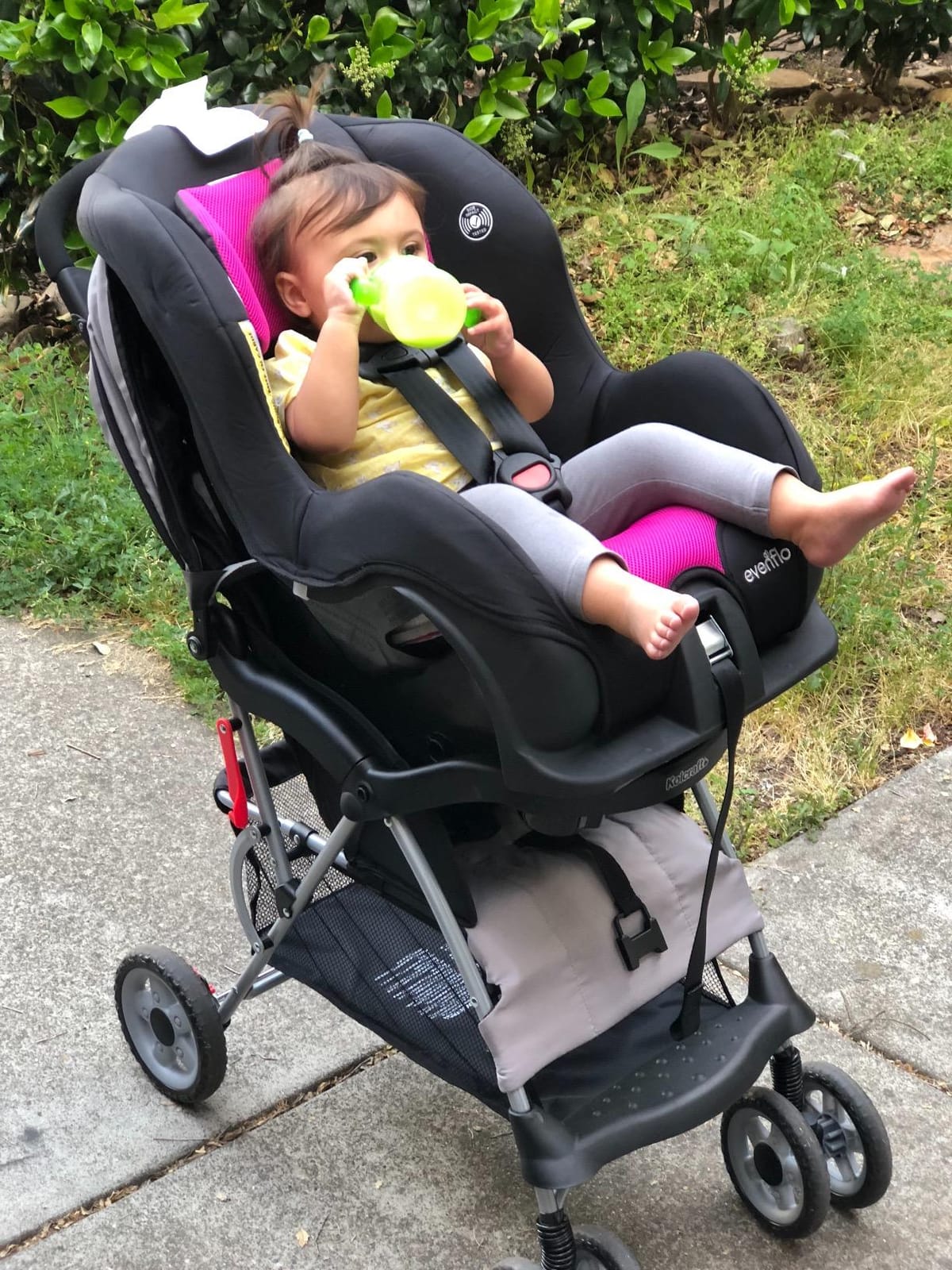Evenflo Tribute LX Convertible Car Seat, Venus customer photo 2