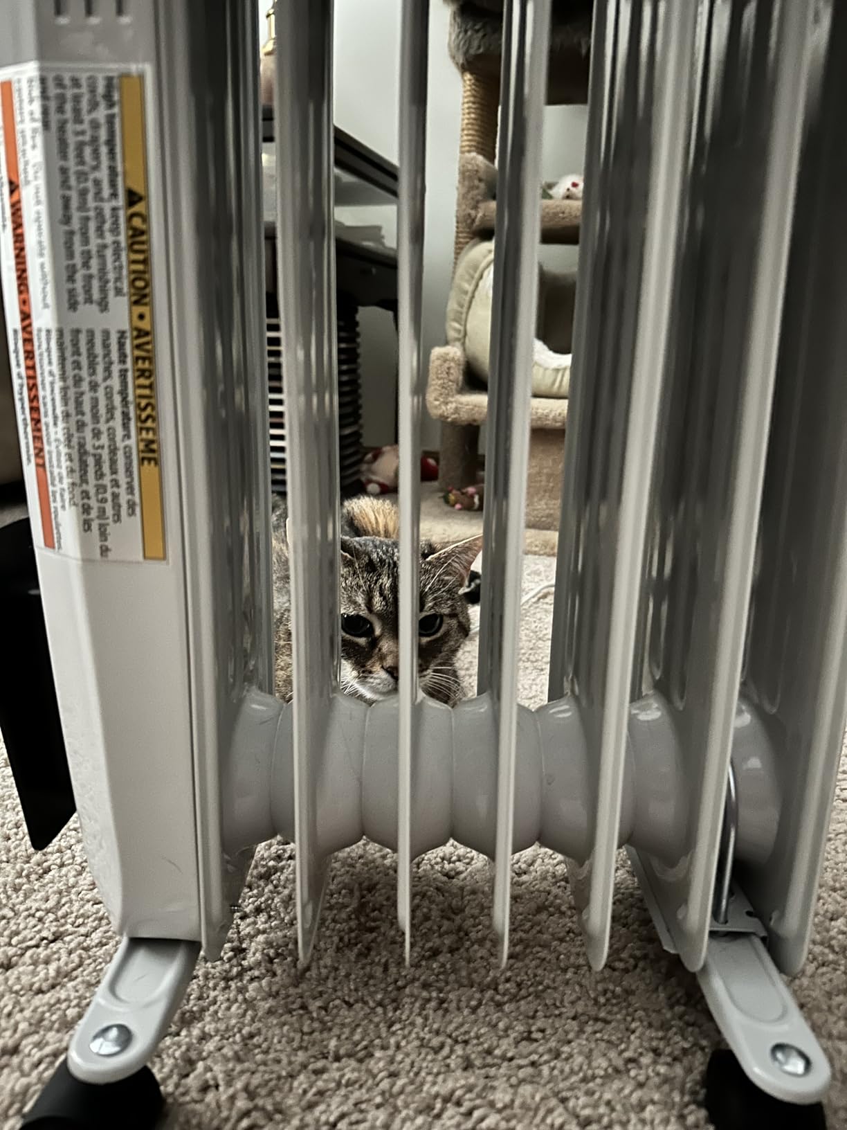 Amazon Basics Portable Oil Radiator Heater, Indoor Use, 3 Heat Settings, Over-Heat Protection, ETL-certified Safety, 7 Oil-Filled Steel Fins, 1500W, Tip-Over Protection, 11