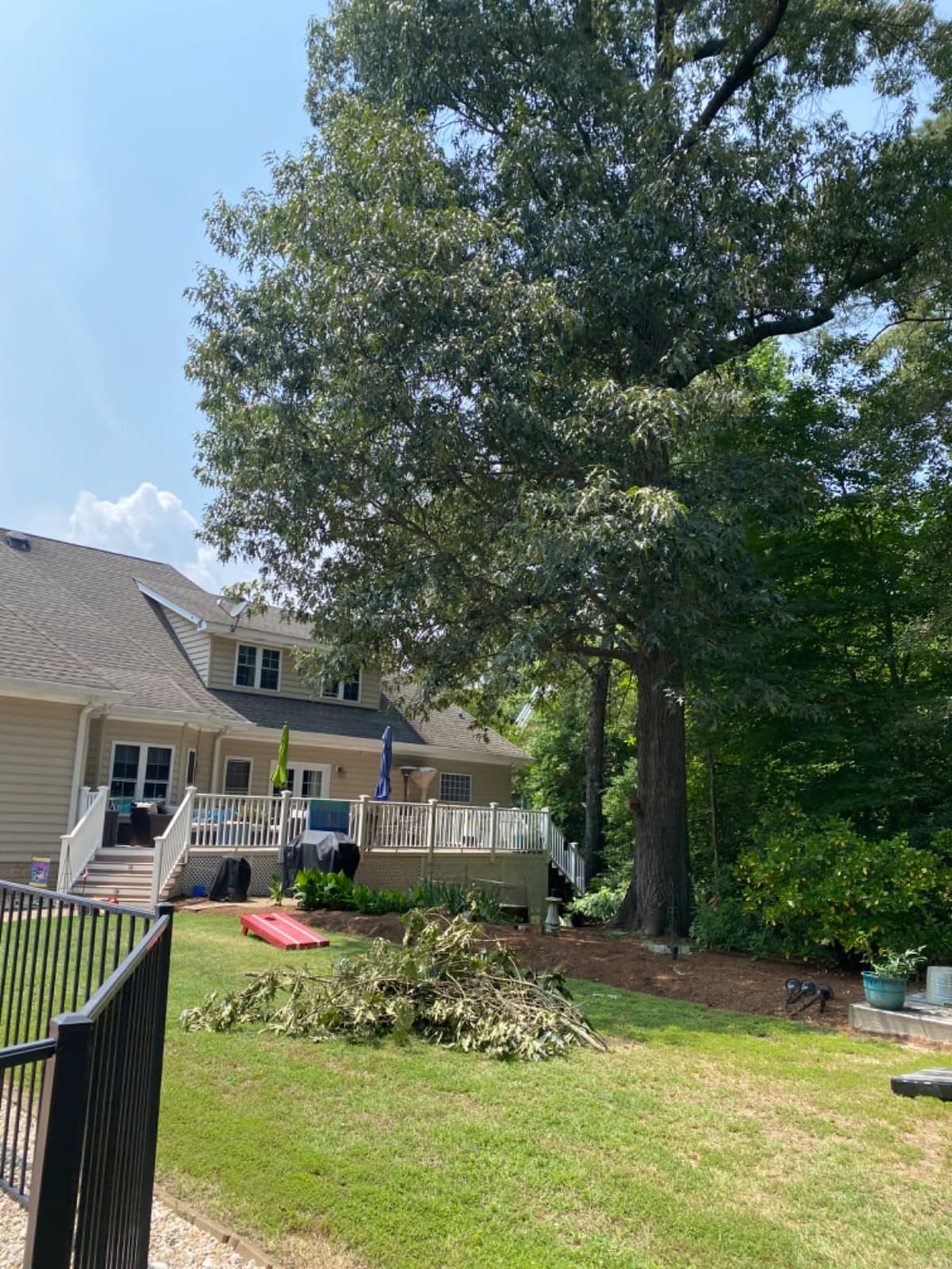 CRAFTSMAN V20 Cordless Pole Saw, 14-Foot, Battery and Charger Included, Pole Saws for Tree Trimming, Up to 325 Cuts per Charge, 4.0Ah, Electric Tree Trimmer (CMCCSP20M1) customer photo 2