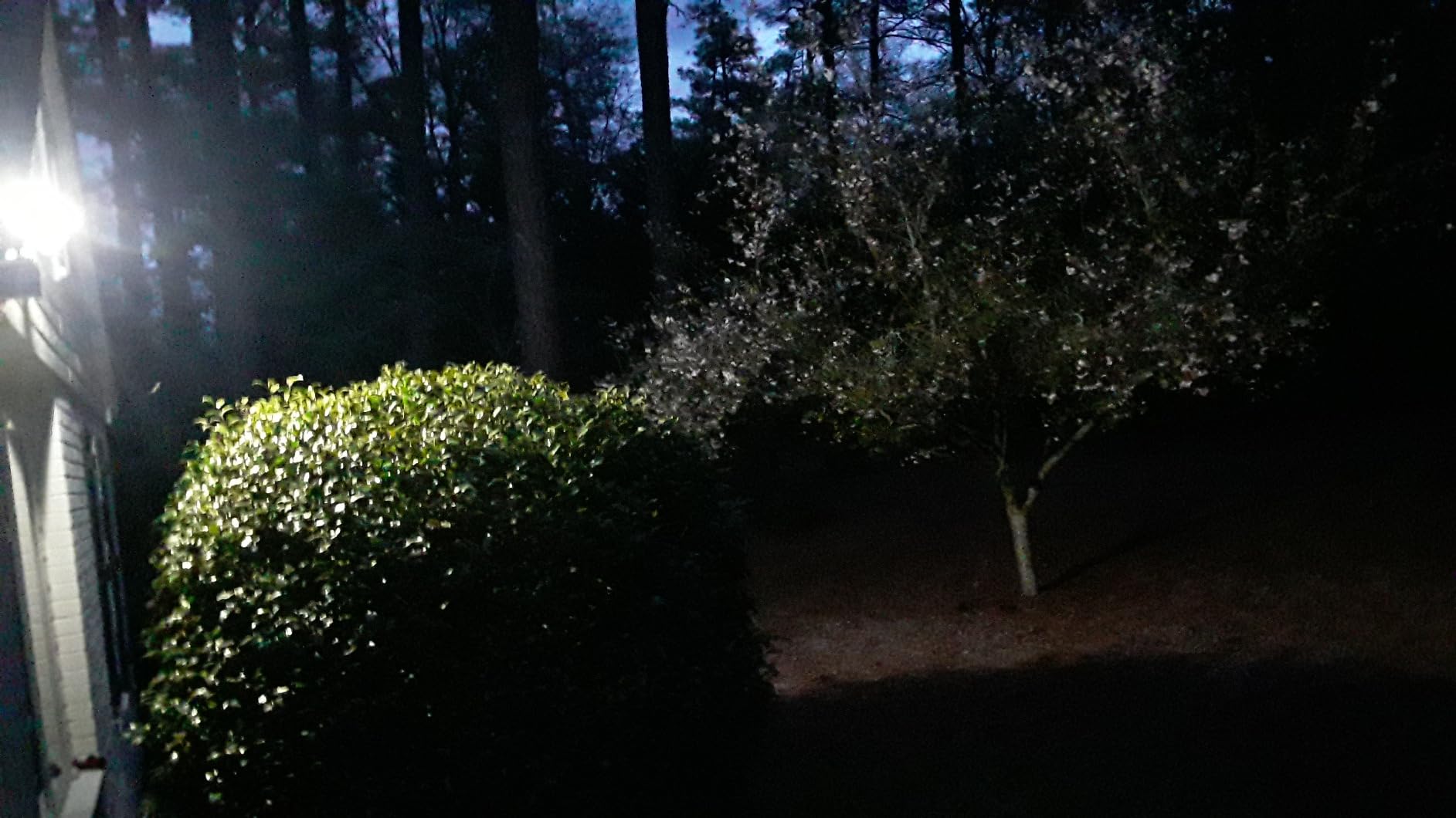 LEPOWER Solar LED Security Lights, PIR Motion Sensor Outdoor, 1600LM, Yard customer photo 2