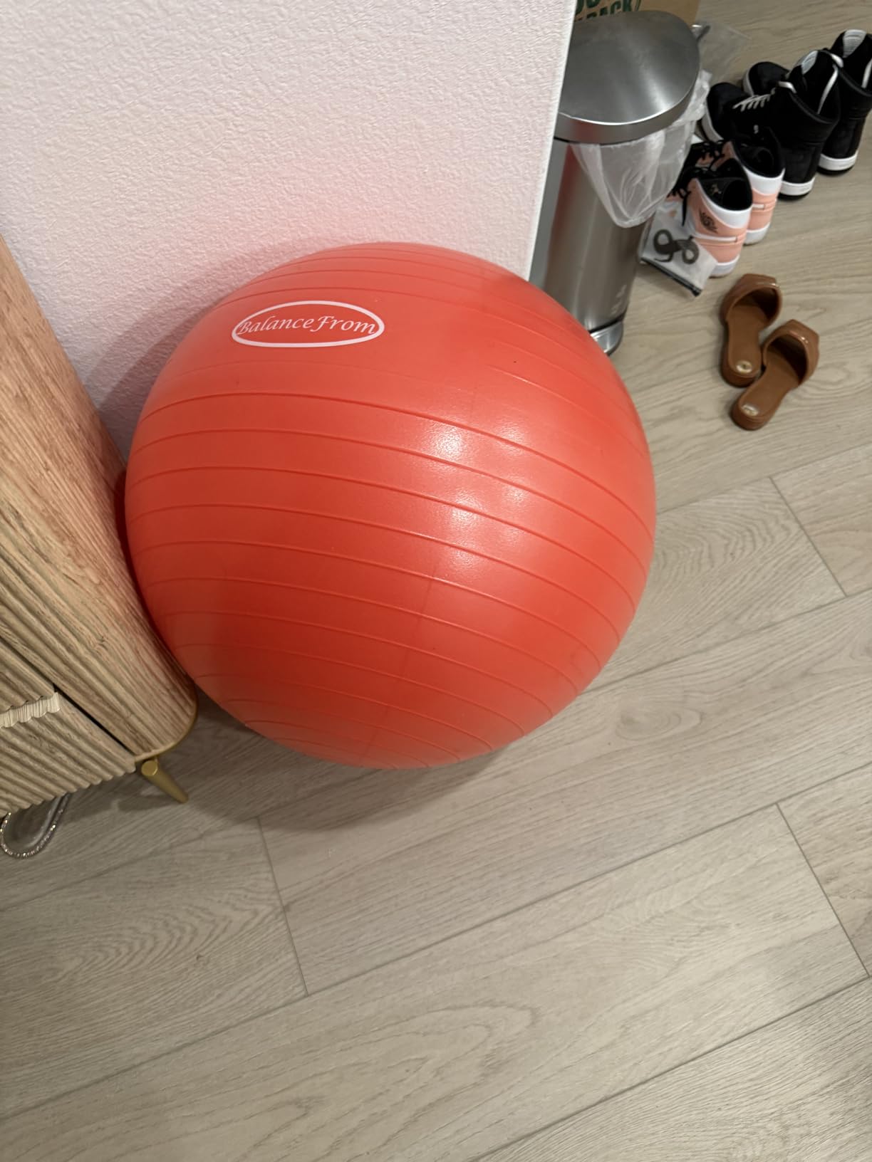 Fitvids Anti-Burst and Slip Resistant Exercise Ball Yoga Ball Fitness Ball Birthing Ball with Quick Pump customer photo 1