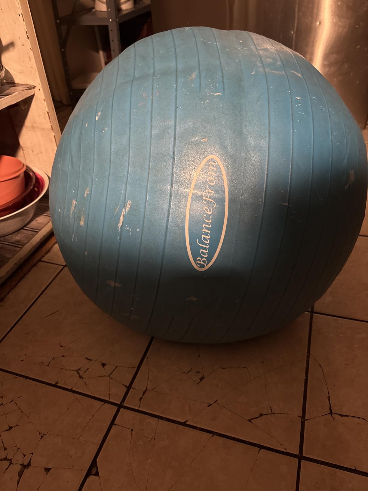 Fitvids Anti-Burst and Slip Resistant Exercise Ball Yoga Ball Fitness Ball Birthing Ball with Quick Pump customer photo 2