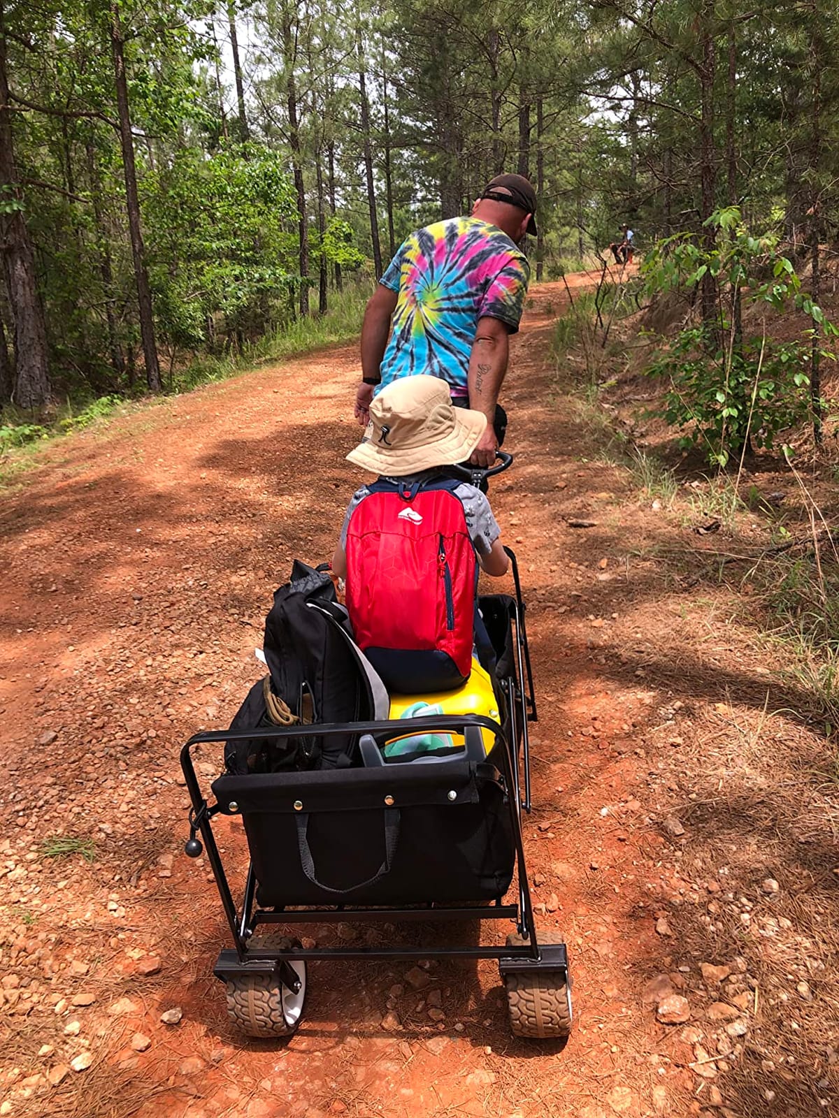BEAU JARDIN Folding Push & Pull Beach Wagon 500 lbs Collapsible Foldable Wagons with Push Handle All Terrain Wheels Grocery Utility Camping Skiing Ice Fishing Sports Garden Wagon Cart Christmas Blue customer photo 2