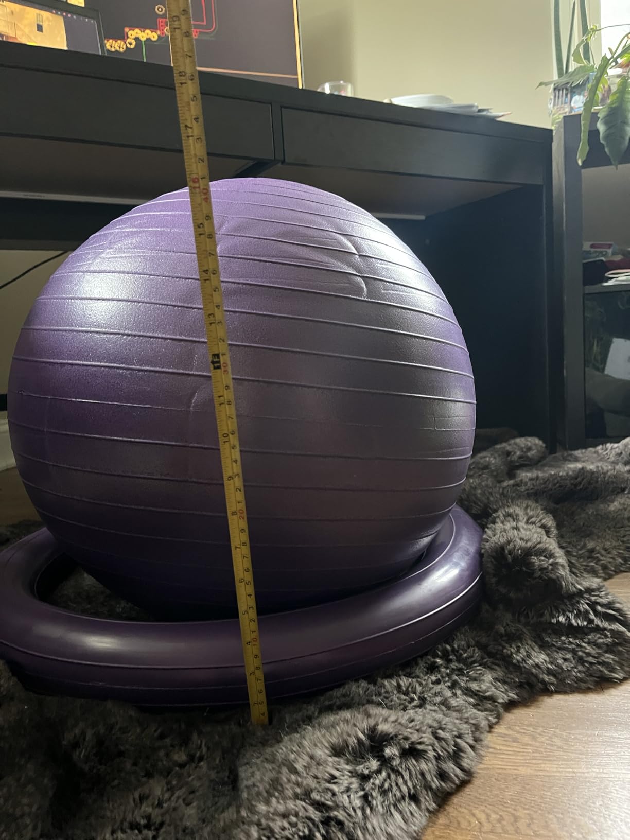 Gaiam Essentials Balance Ball & Base Kit, Yoga Ball Chair, Exercise Ball with Inflatable Ring Base for Home or Office Desk, Includes Air Pump customer photo 1