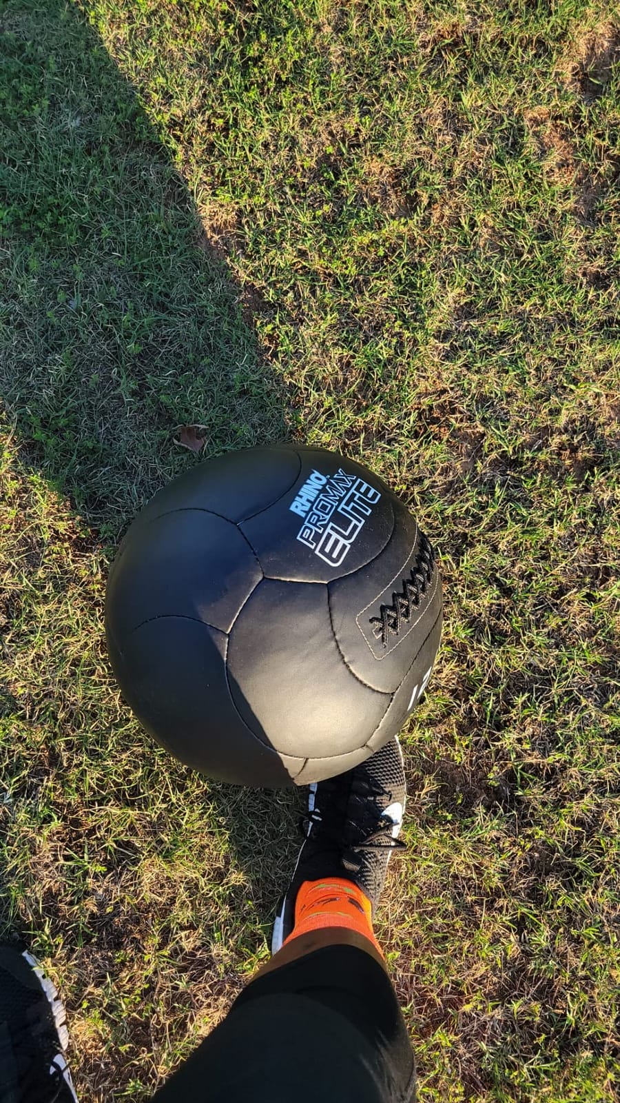 Champion Sports Rhino ProMax Elite Slam Ball customer photo 2