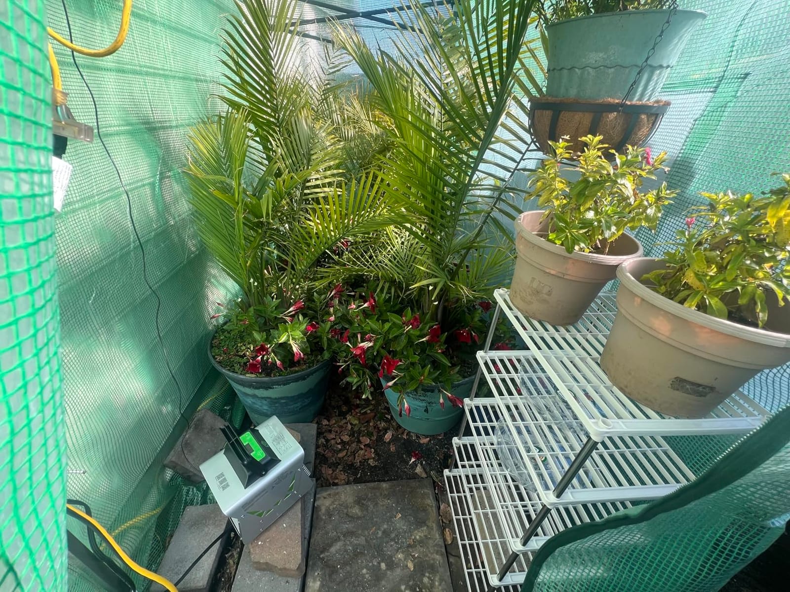 EAGLE PEAK 8x6 Easy Setup Pop Up Greenhouse, Clear/Green customer photo 1