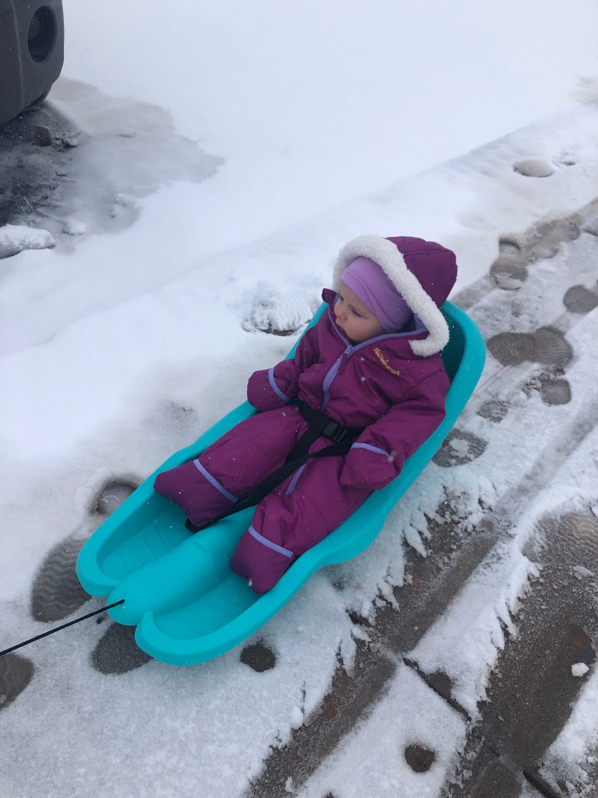 Gizmo Riders Baby Rider, Toddler Sled - 3-Point Harness, Anti-Slip Seat, Retractable Tow Strap, Durable Plastic, Ideal for 6 Months to 3 Years, Supports Up to 55 lbs, Winter Fun for Little Ones customer photo 1
