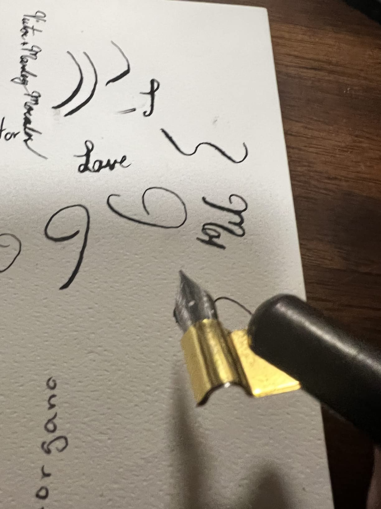 Calligraphy Set for Beginners, Dip Pen Set with 19 Nibs, Oblique Pen Holder, Wooden Pen Set customer photo 2