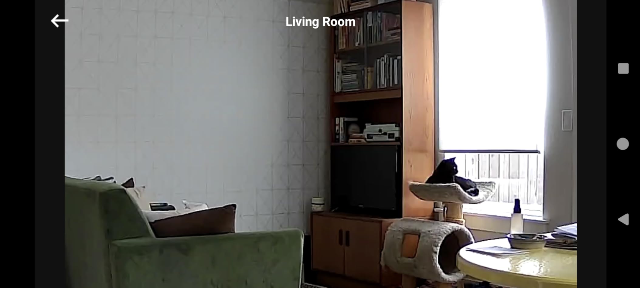 eufy Security Indoor Cam E220, Dog/Pet Camera, Pan and Tilt customer photo 1